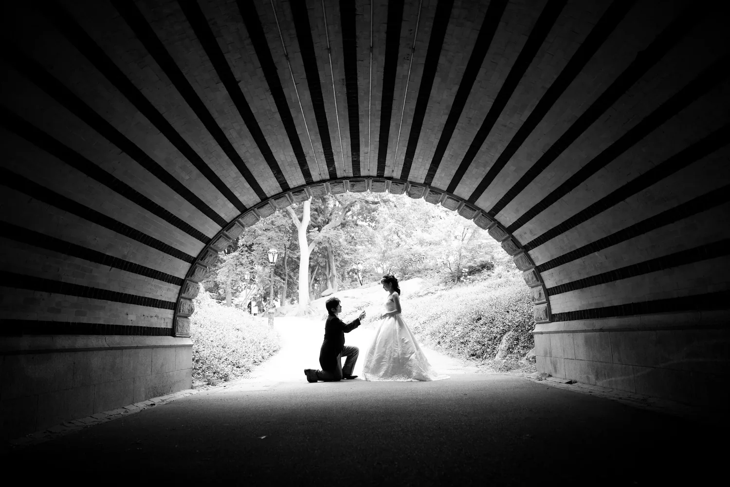 A proposal photographed in silhouette inside a Central Park archway